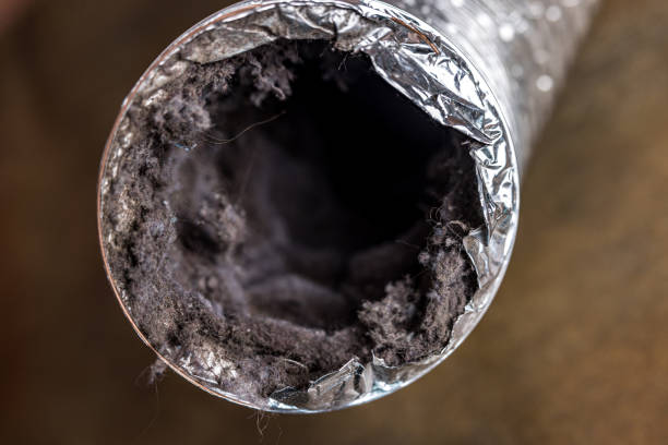 Best Professional Duct Cleaning Services  in Tipton, IN